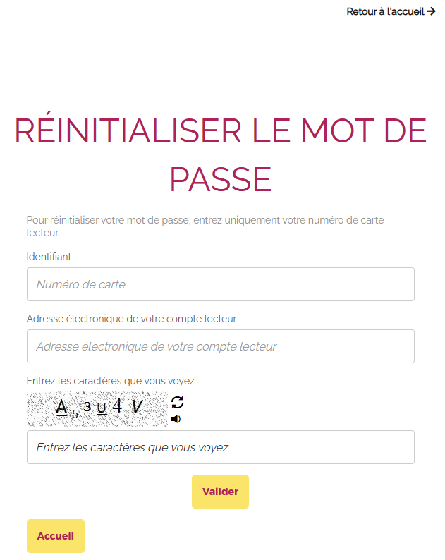 Page du formulaire permettant la réinitialisation du mot de passe